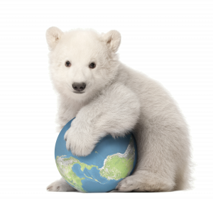 Maluk globe