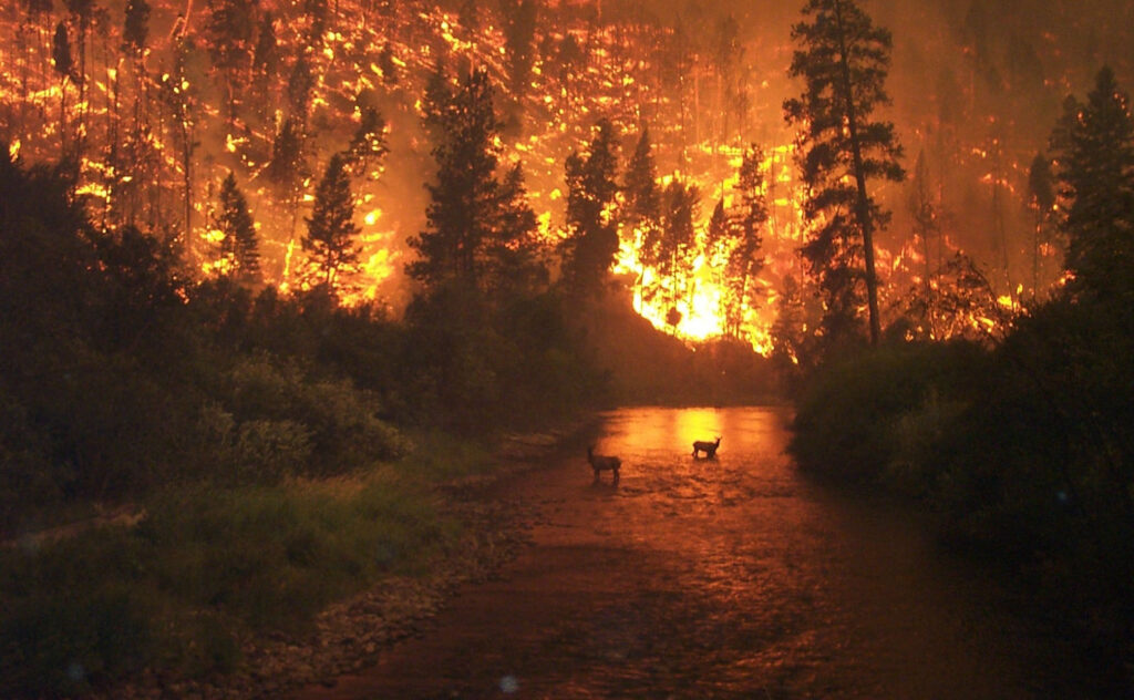 The great fire of Lufianblid
